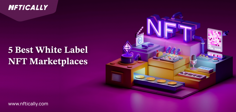 5 Best White Label NFT Marketplaces in The World